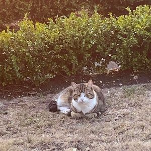 Meet your Posher, Ali